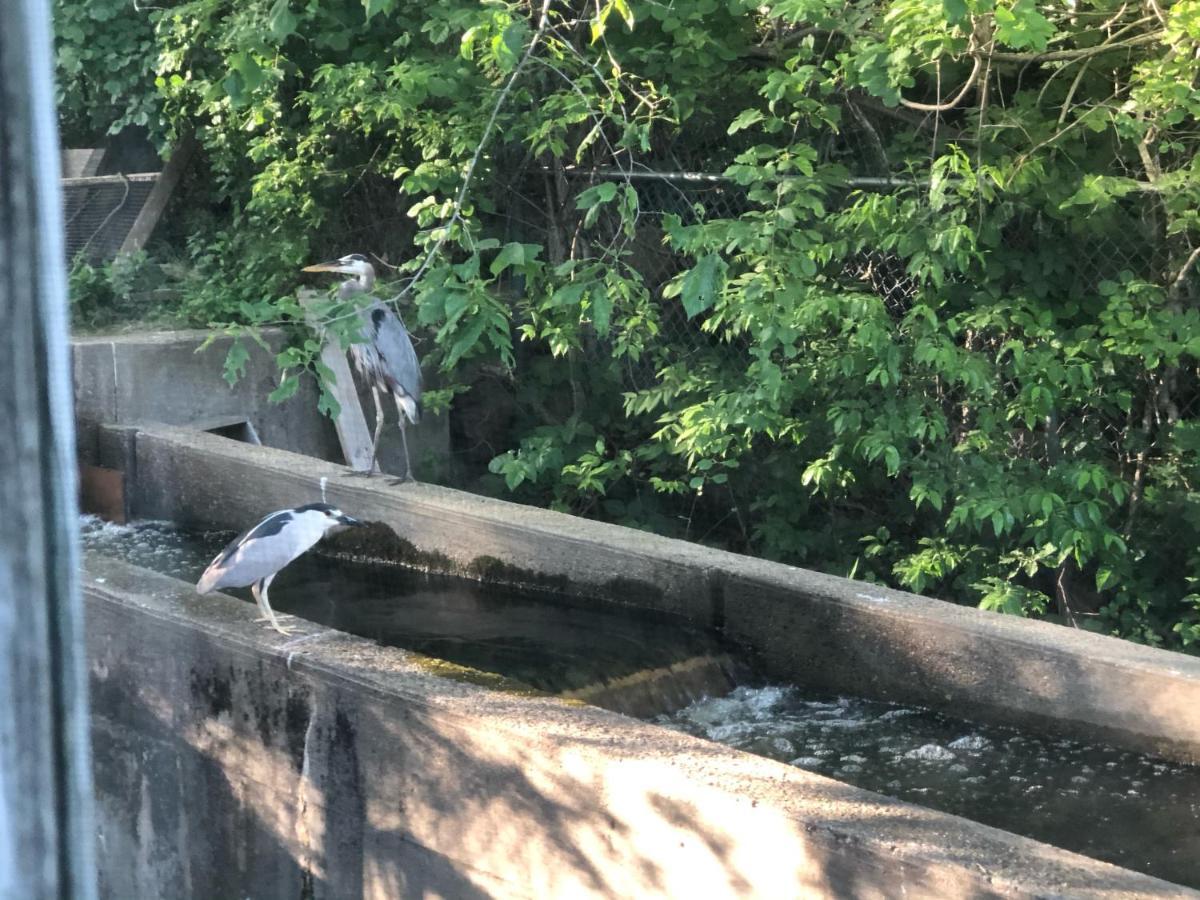 Herring Run Борн Екстер'єр фото