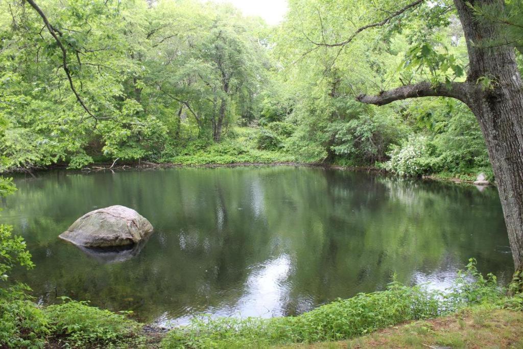 Herring Run Борн Екстер'єр фото