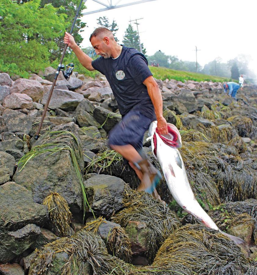 Herring Run Борн Екстер'єр фото