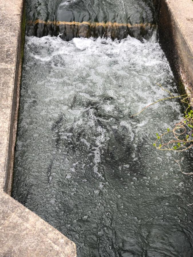 Herring Run Борн Екстер'єр фото
